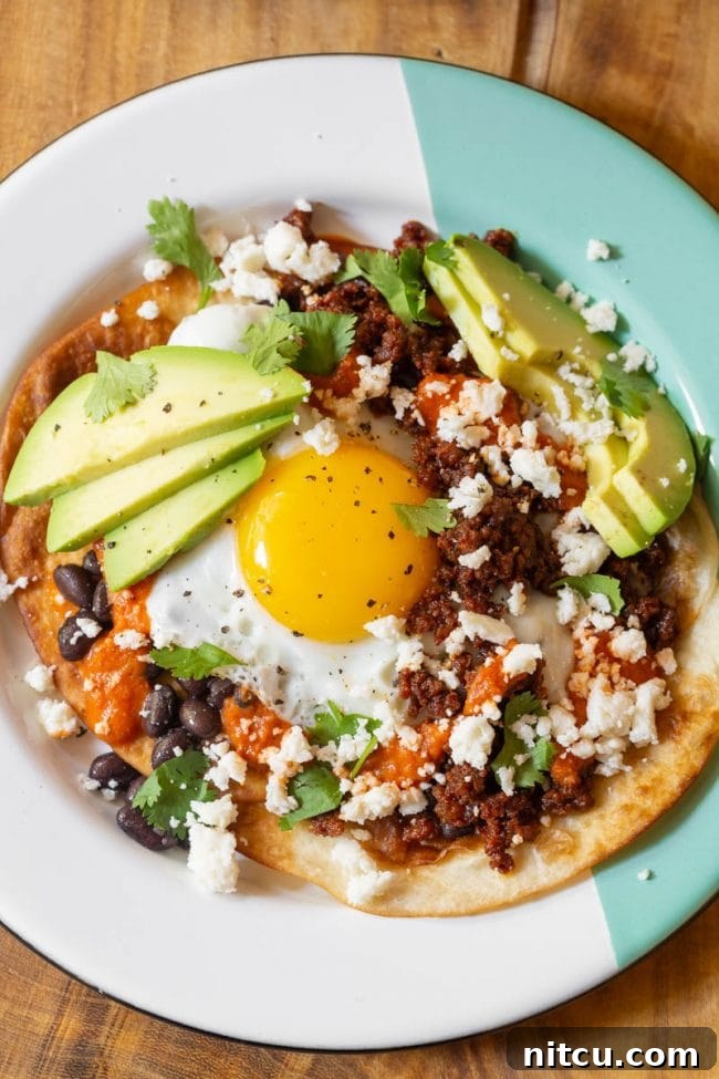 A gorgeous plate of Huevos Rancheros garnished with avocado, cilantro, and crumbled cheese.