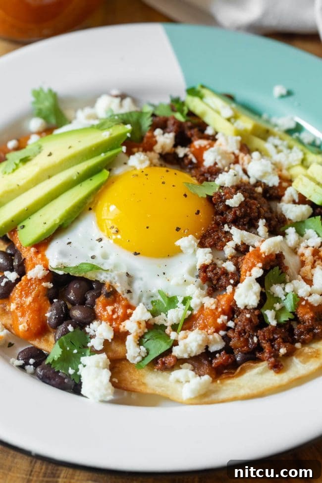 Close-up shot of crispy fried tortillas for Huevos Rancheros.