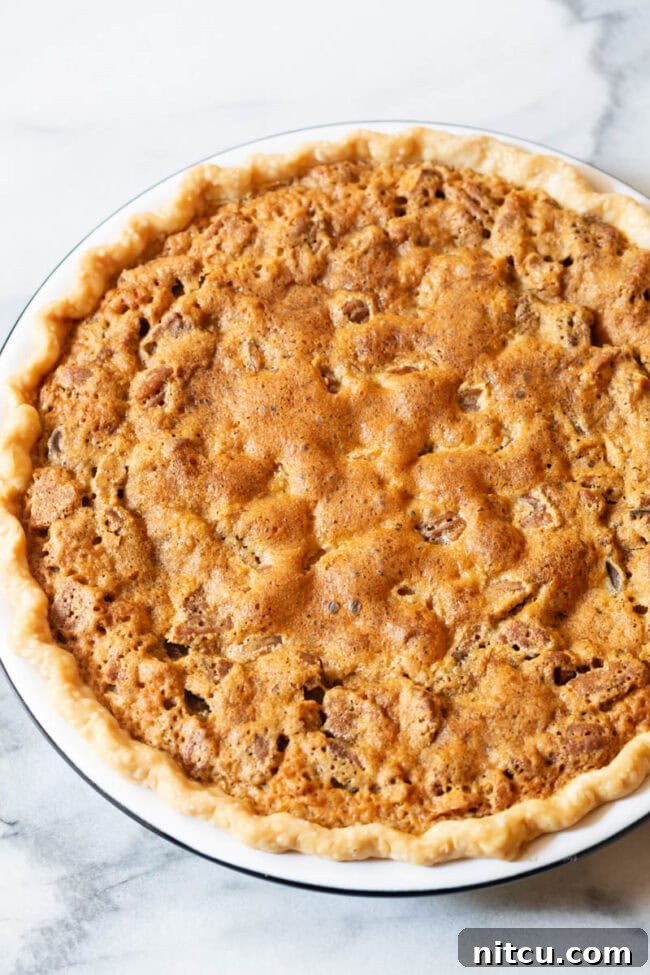 Freshly baked chocolate pecan pie, golden brown and glistening, still in its pan.