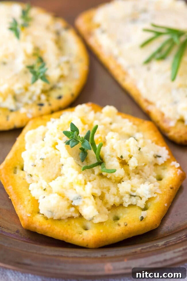Close-up of a cracker topped with creamy cheese spread and a delicate sprig of fresh thyme.