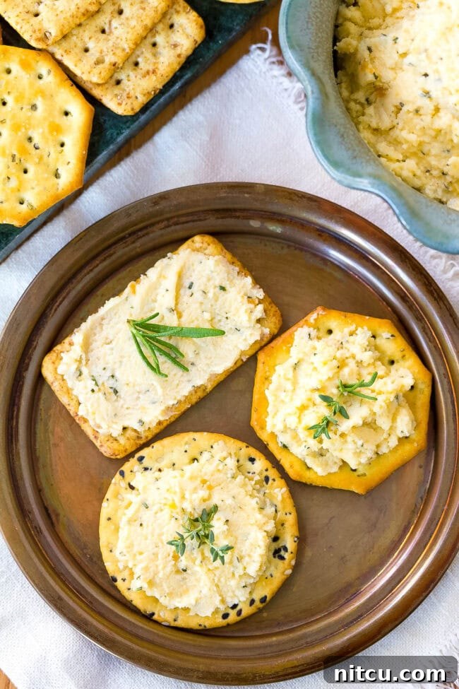 A vibrant platter featuring homemade cheese spread served with a variety of crackers and fresh herbs, perfect for sharing.