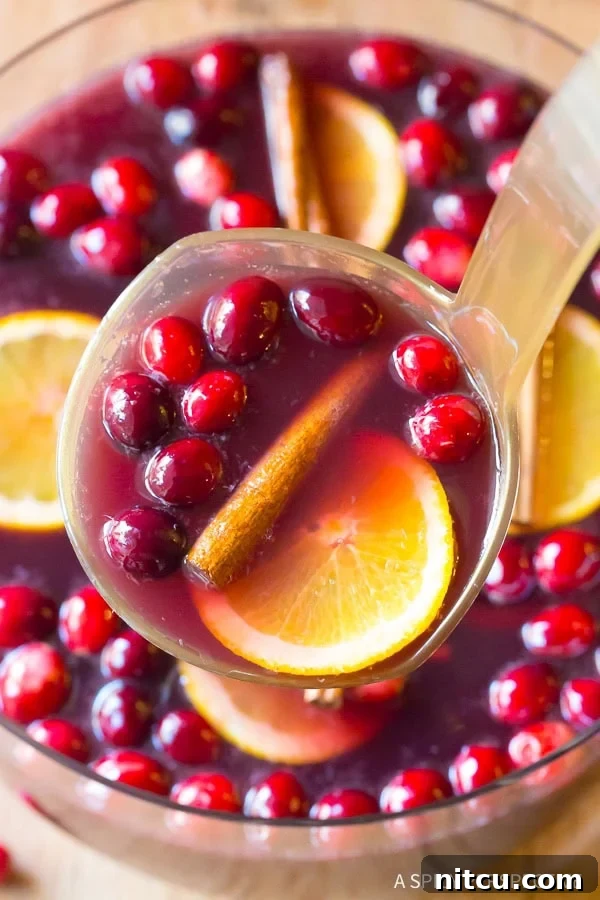 A ladle expertly scooping out a serving of the boozy Christmas punch from the Holiday Wine Punch bowl, signaling readiness to enjoy this festive drink.