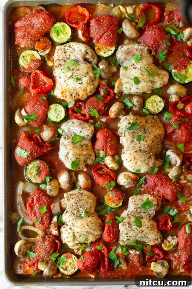 A vibrant, saucy sheet pan chicken cacciatore with chicken, peppers, onions, zucchini, and mushrooms, ready to be served
