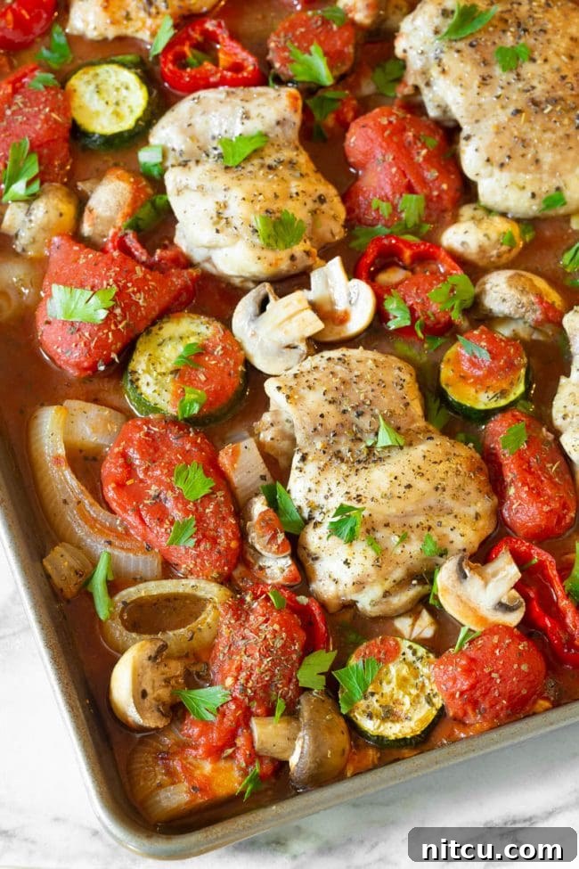 Close-up of a single piece of saucy chicken cacciatore, showing tender chicken and colorful vegetables simmered in tomato sauce