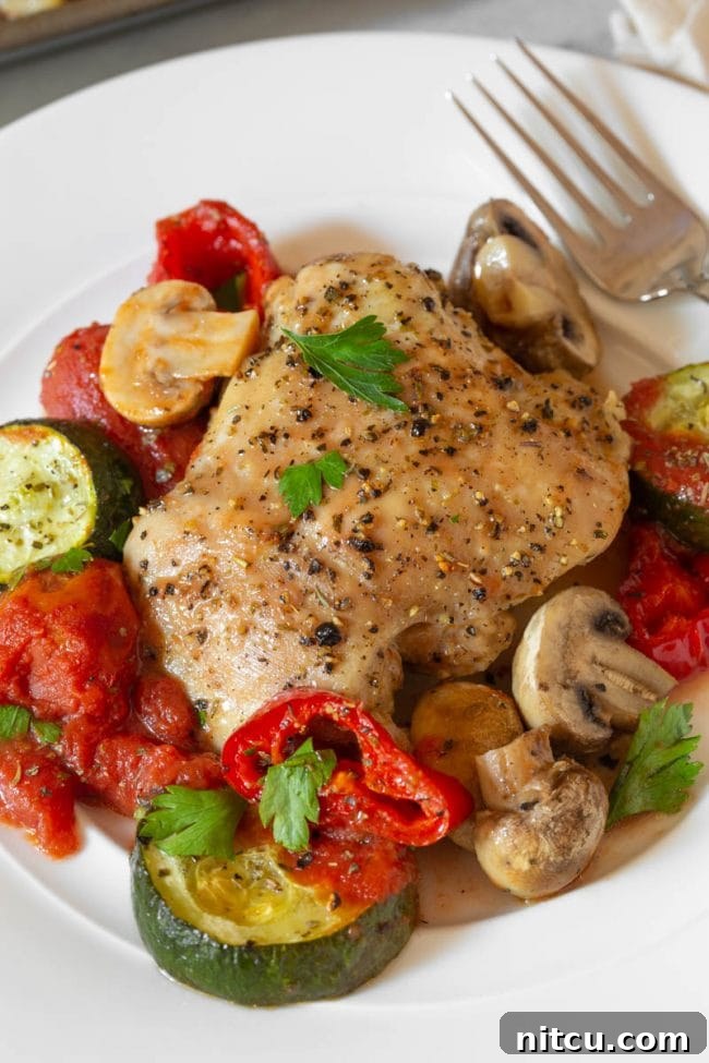A serving of low carb chicken cacciatore on a white plate, highlighting the rich tomato sauce and colorful vegetables