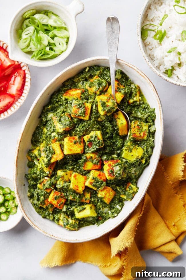 Overhead of plated saag paneer in a big white platter.