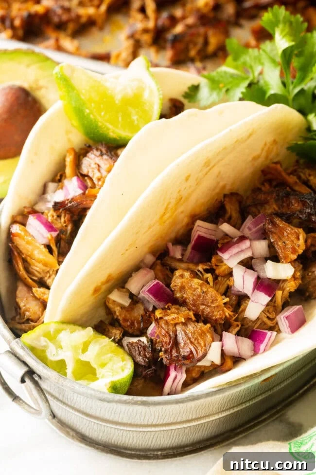 Carnitas tacos with fresh onions and cilantro, ready to eat