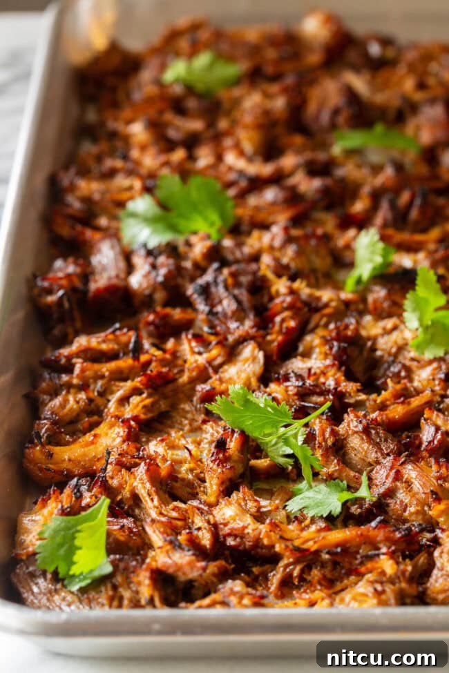 Carnitas spread out on a baking pan, ready to be broiled for a crispy finish.