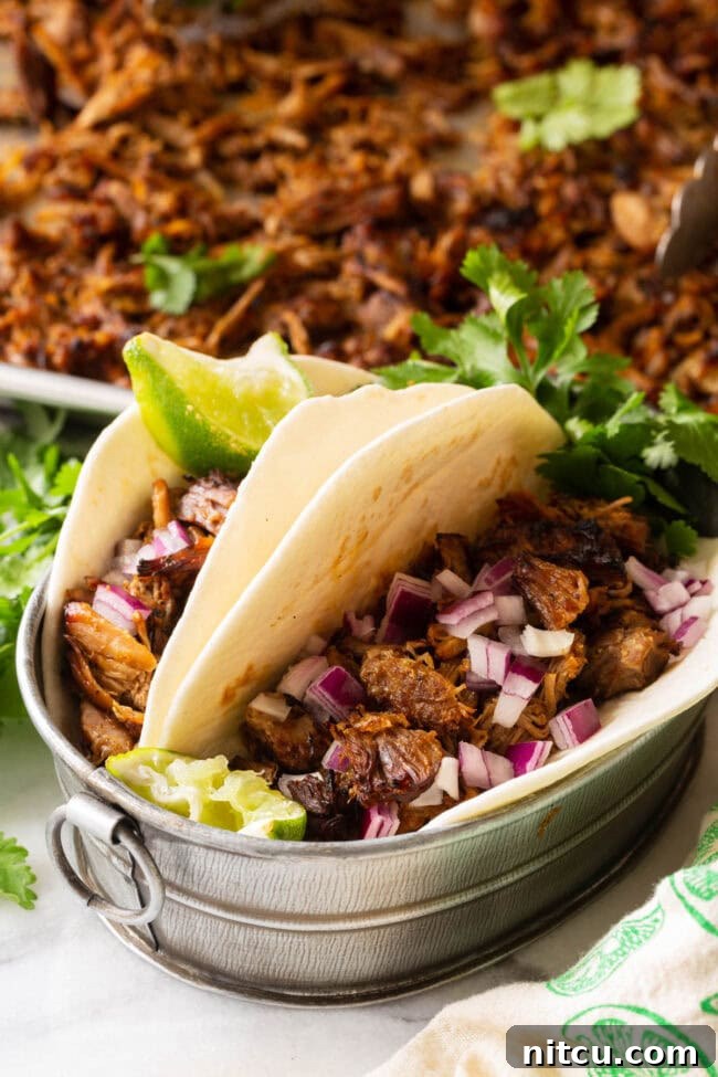 A vibrant and appetizing plate of Instant Pot Carnitas, garnished and ready to be enjoyed.