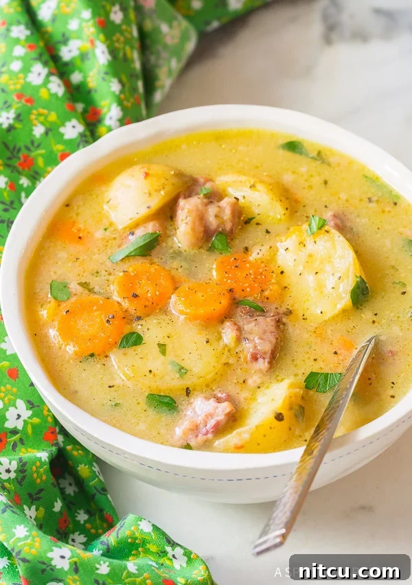 Cheesy and Hearty Instant Pot Corned Beef Cabbage Irish Stew Recipe