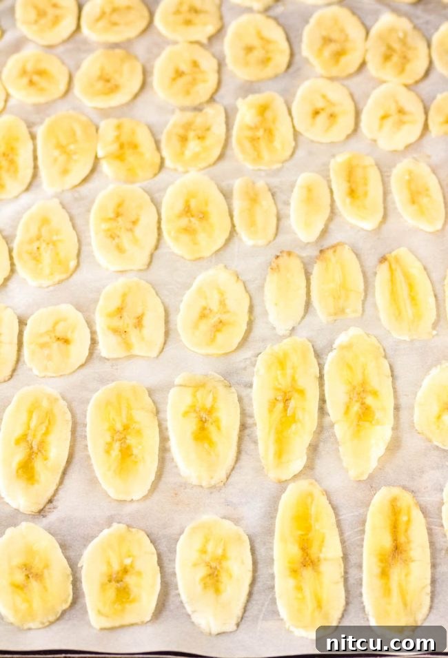 Laying these banana chips out on a cookie sheet to bake in the oven 