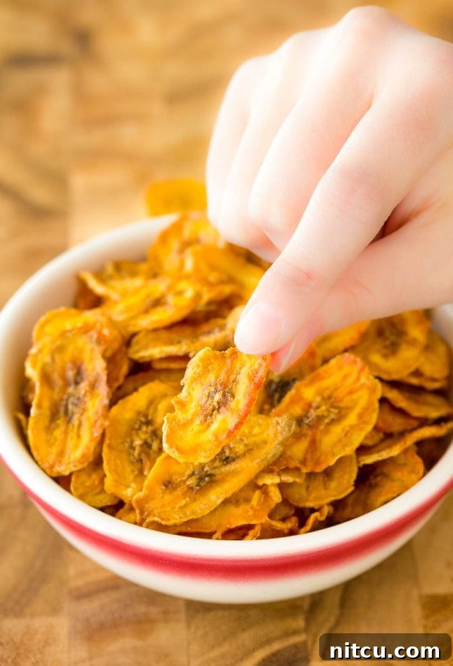 You and your whole family can enjoy these tasty treats 