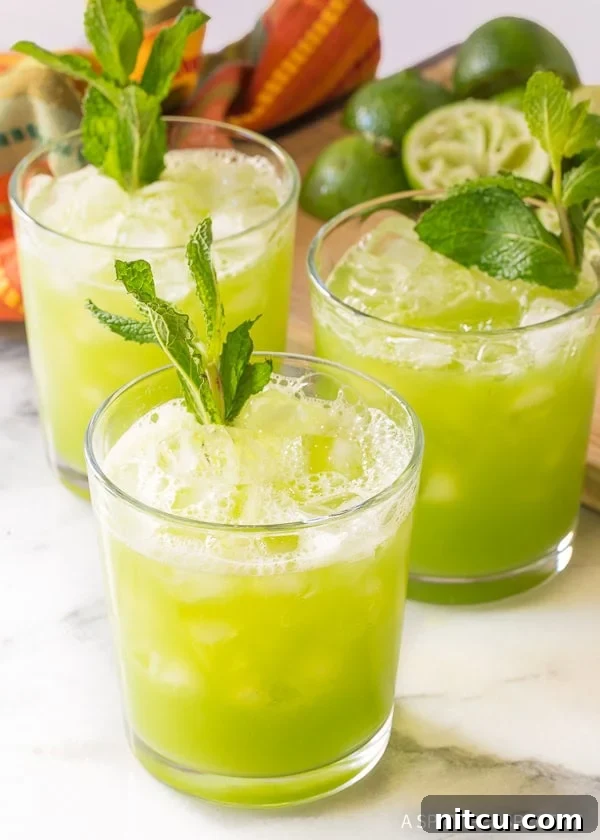 Three glasses of cucumber mint ginger agua fresca, garnished with mint. 