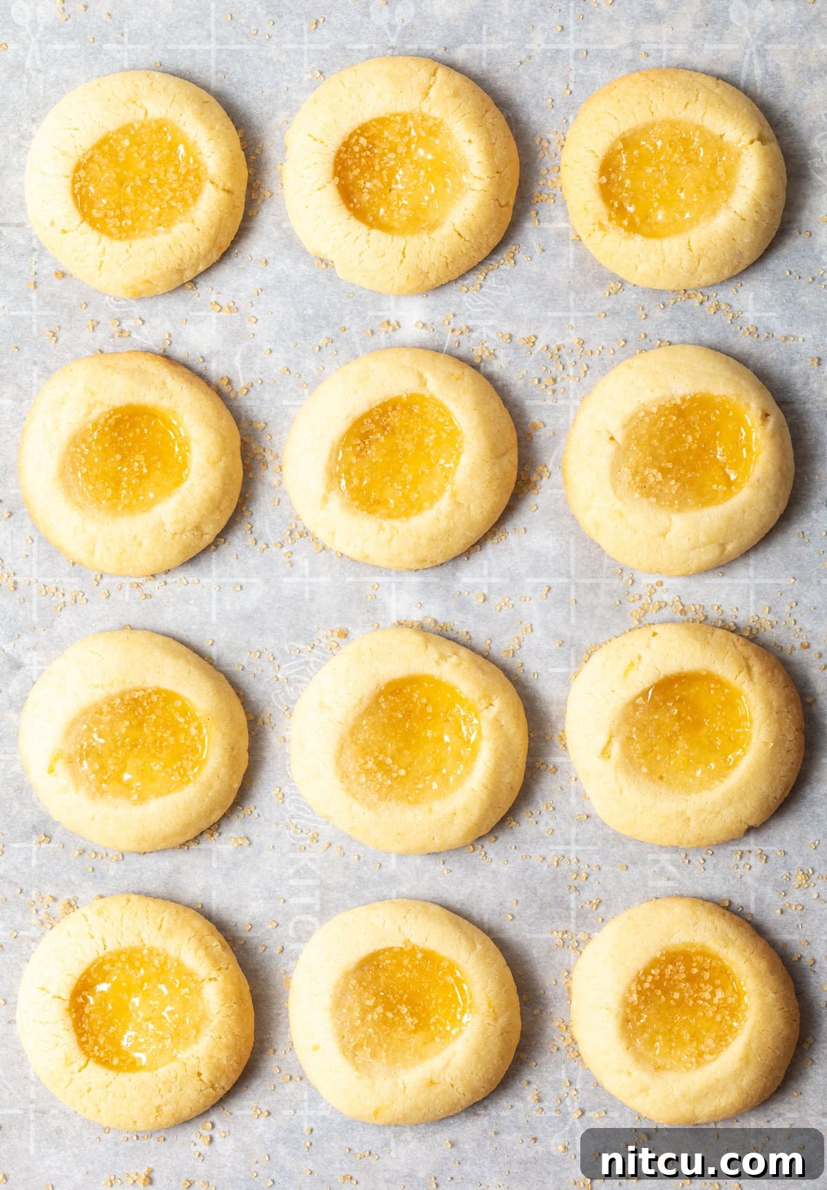 Top view of lemon drop cookies on the baking sheet all lined up in rows