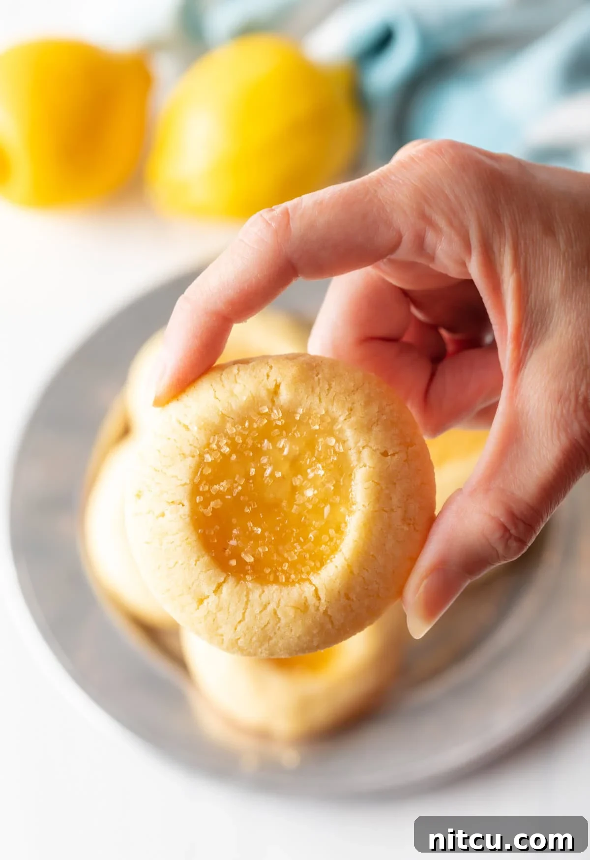 Hand holding up a lemon drop cookie for the camera for you to get a good up close look at the