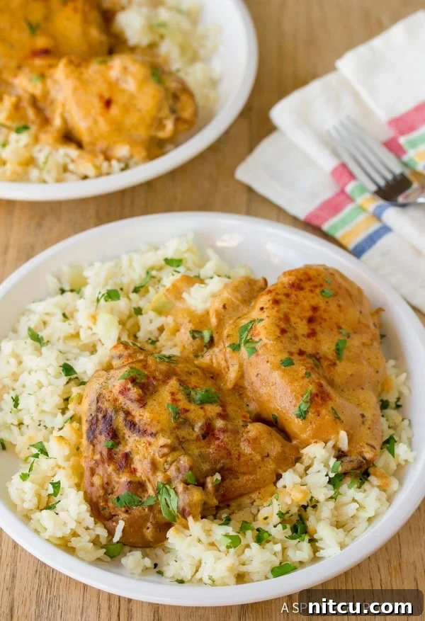 Classic Hungarian Chicken Paprikash served with rice, garnished with fresh parsley