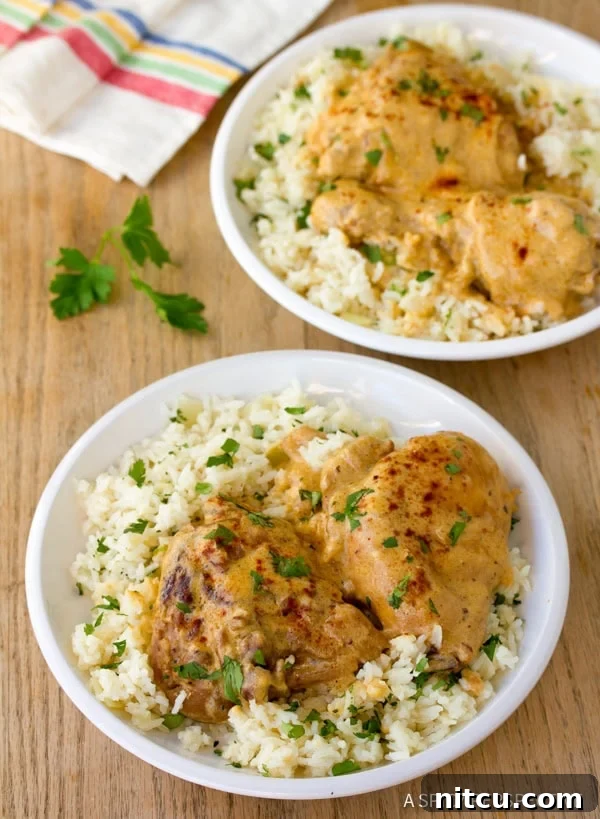 Plates of Hungarian Chicken Paprikash with rice and parsley, ready to serve