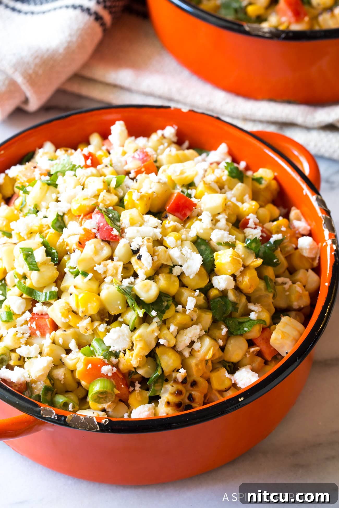Best Grilled Mexican Street Corn Salad, showcasing its vibrant ingredients and appealing texture.