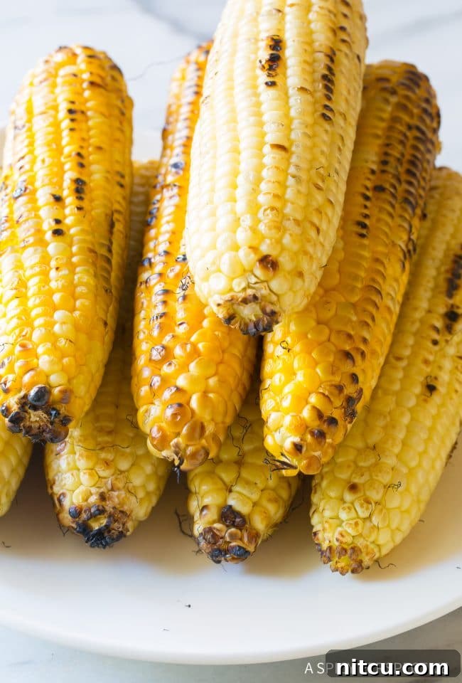Stack of freshly grilled corn on the cob, beautifully charred and ready for the next step.
