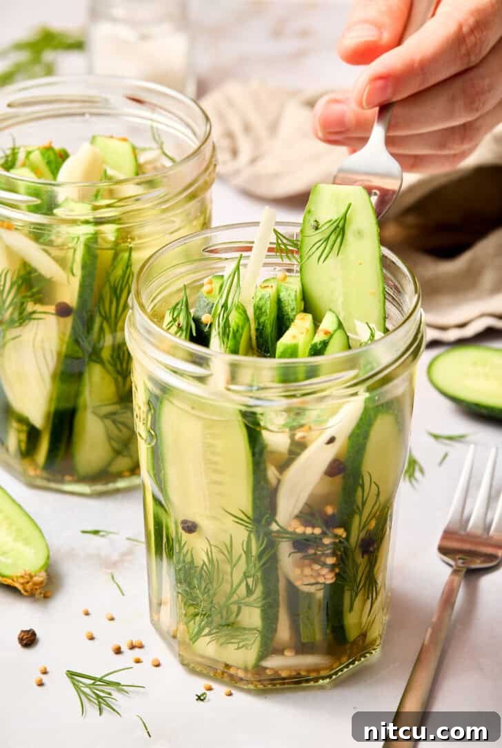 Refrigerator Pickles Recipe - dill pickles being picked from the jar by hand, showing their irresistible appeal and crunch