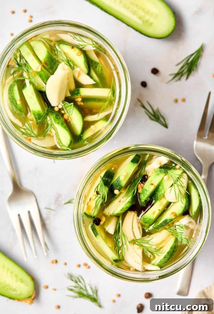 Refrigerator Pickle Recipe overhead shot of dill pickles in jar, showcasing their vibrant green color and fresh dill sprigs