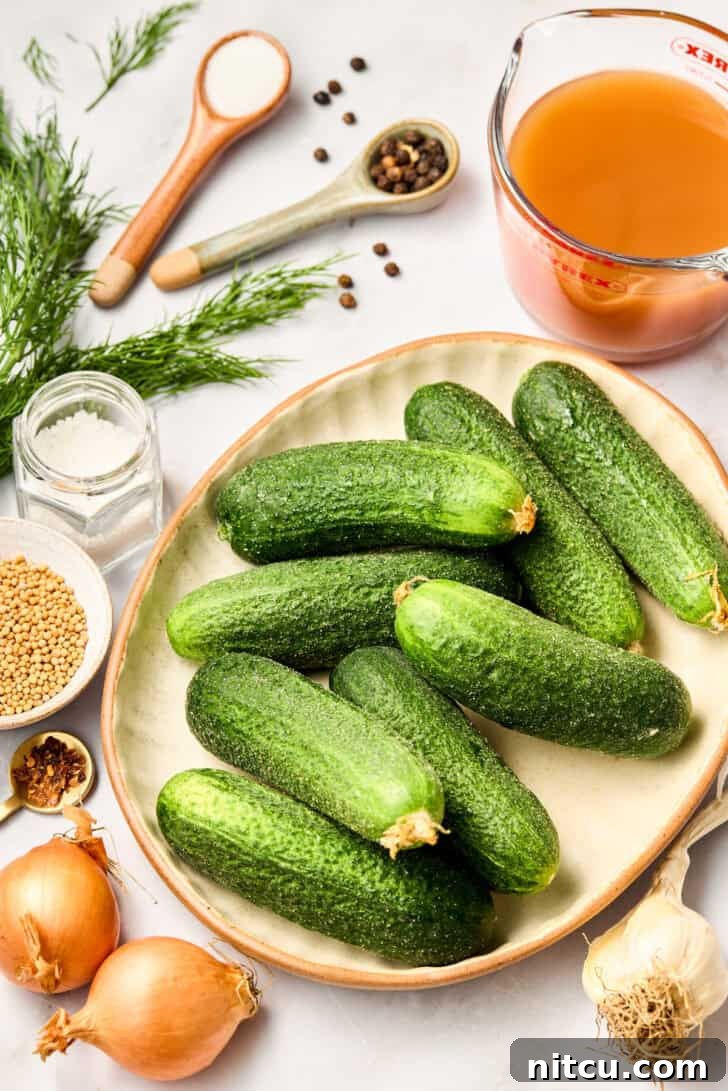 How to Make Pickles - homemade dill pickle ingredients with pickling cucumbers, dill, garlic, and various spices laid out