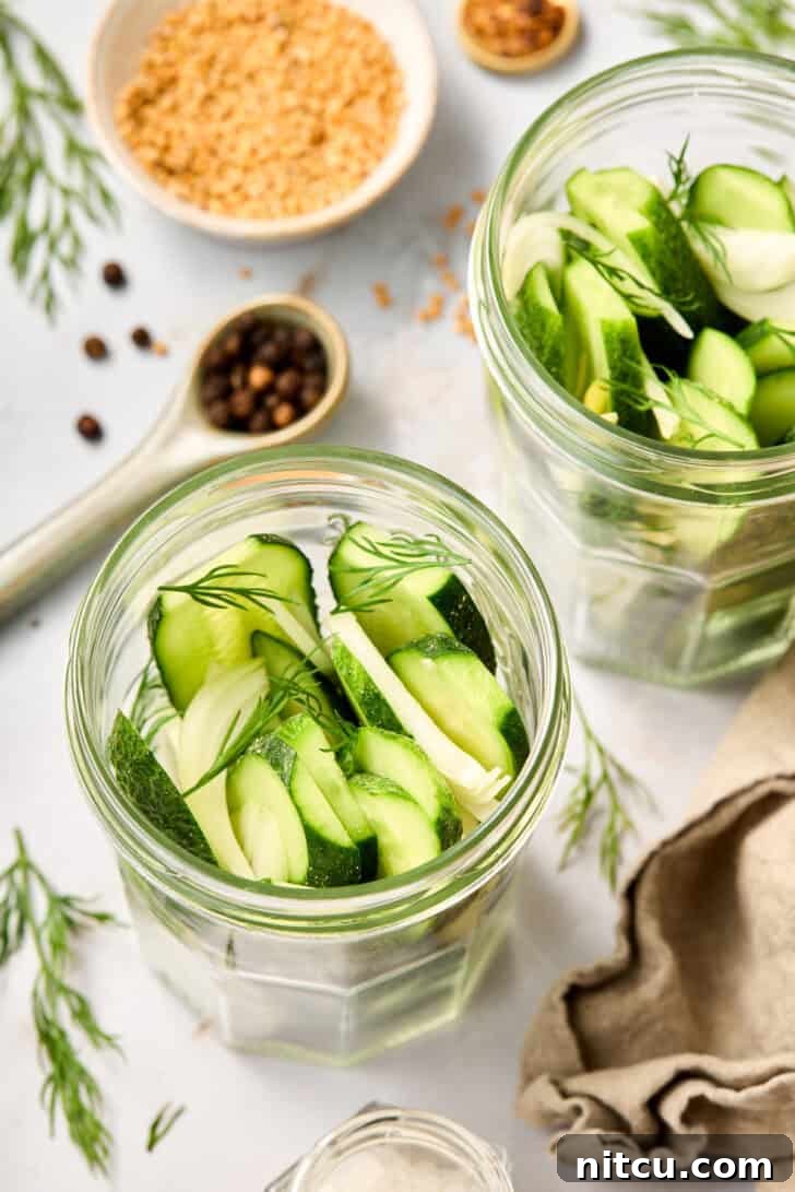 Jarred Pickled Cucumbers - close up of precisely sliced cucumbers and fresh dill packed tightly in a clear glass jar