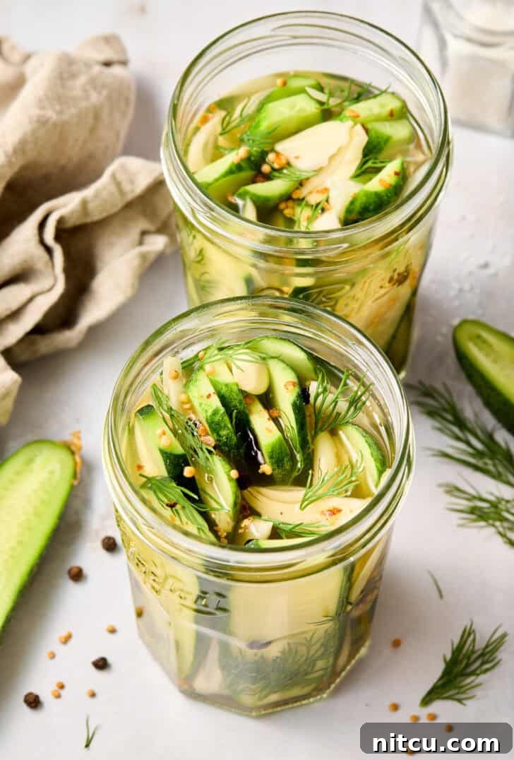 Finished refrigerator dill pickles in a jar, sealed and ready for chilling to develop their perfect taste