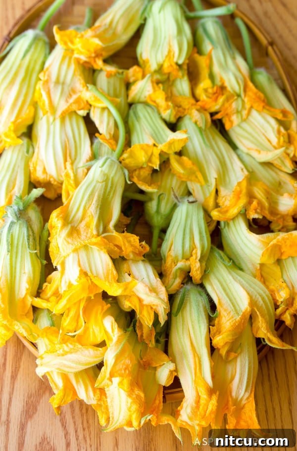 Squash Blossoms Recipe preparation, showing the fresh blossoms ready for stuffing.