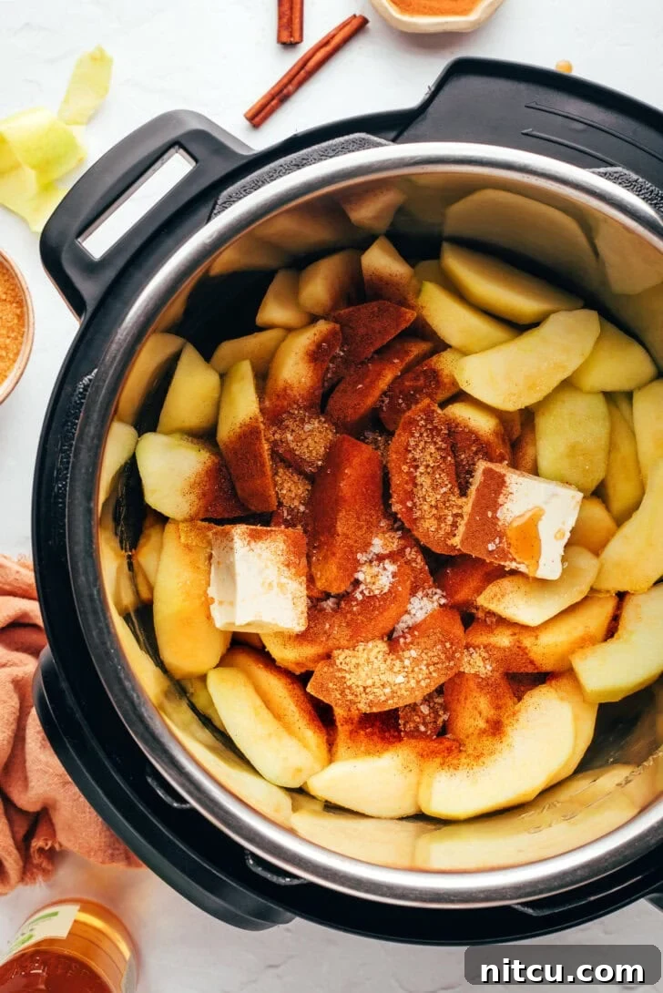 Ingredients for spiced apples in a pressure cooker 