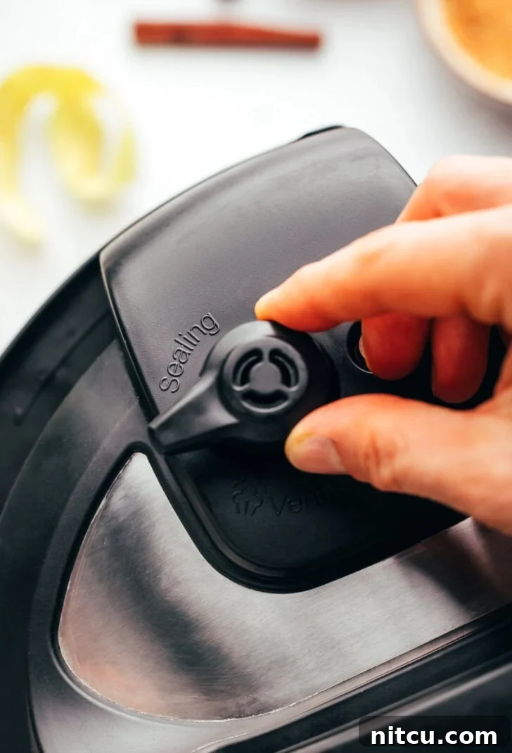 check valve for Instant Pot