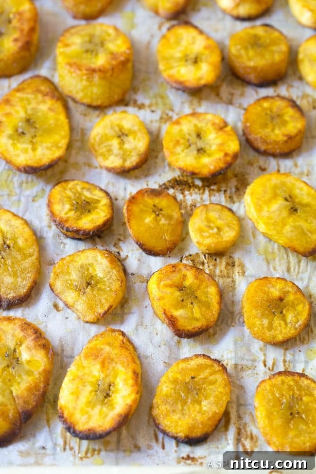 A close-up shot of perfectly golden and slightly caramelized baked plantains, glistening with oil and salt.
