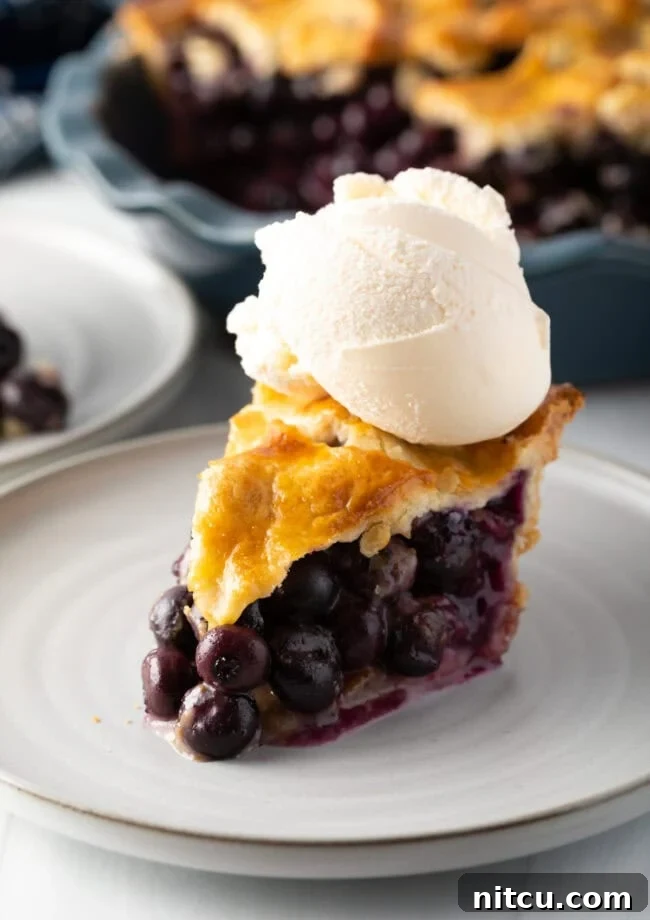 Best Fresh Blueberry Pie with Golden Almond Crust