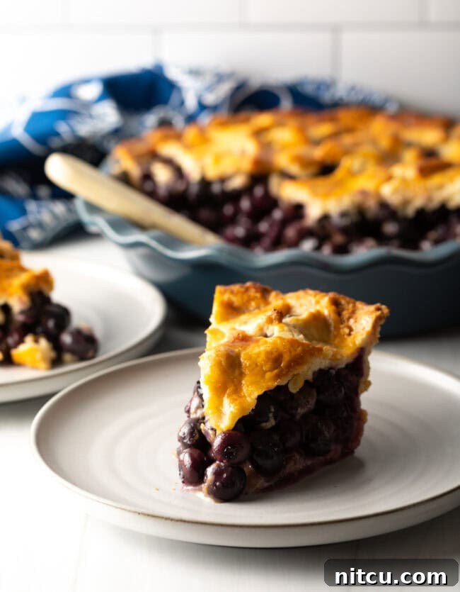 How to Make the Best Blueberry Pie from Fresh Berries