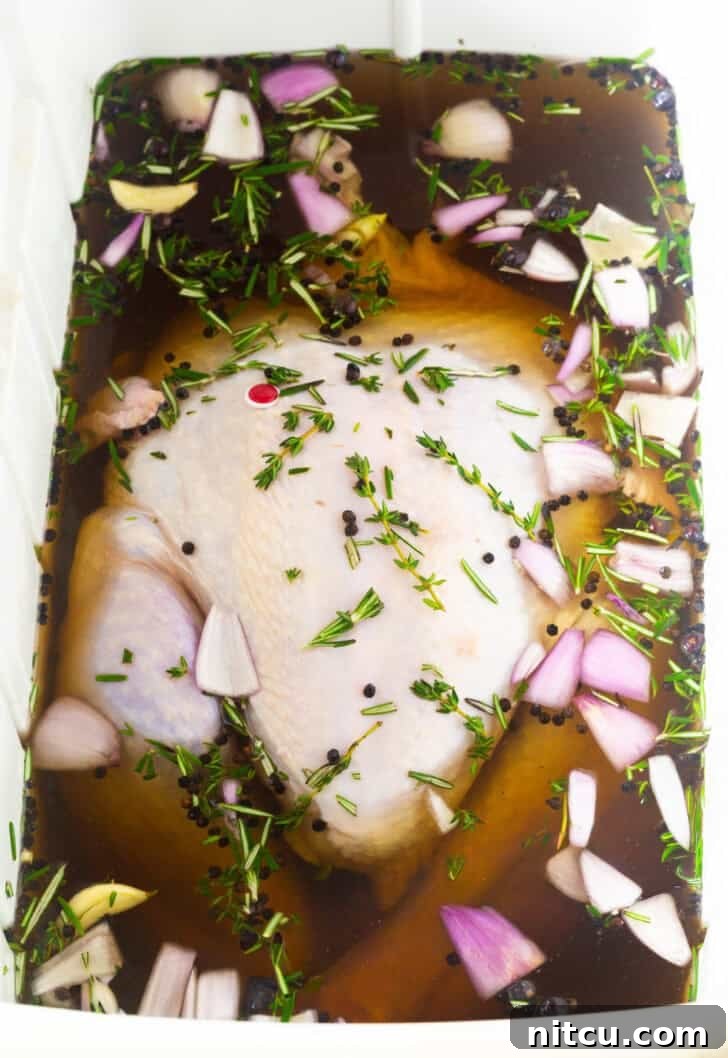 Raw turkey submerged in a rich, herbed brine, preparing for maximum flavor and moisture.