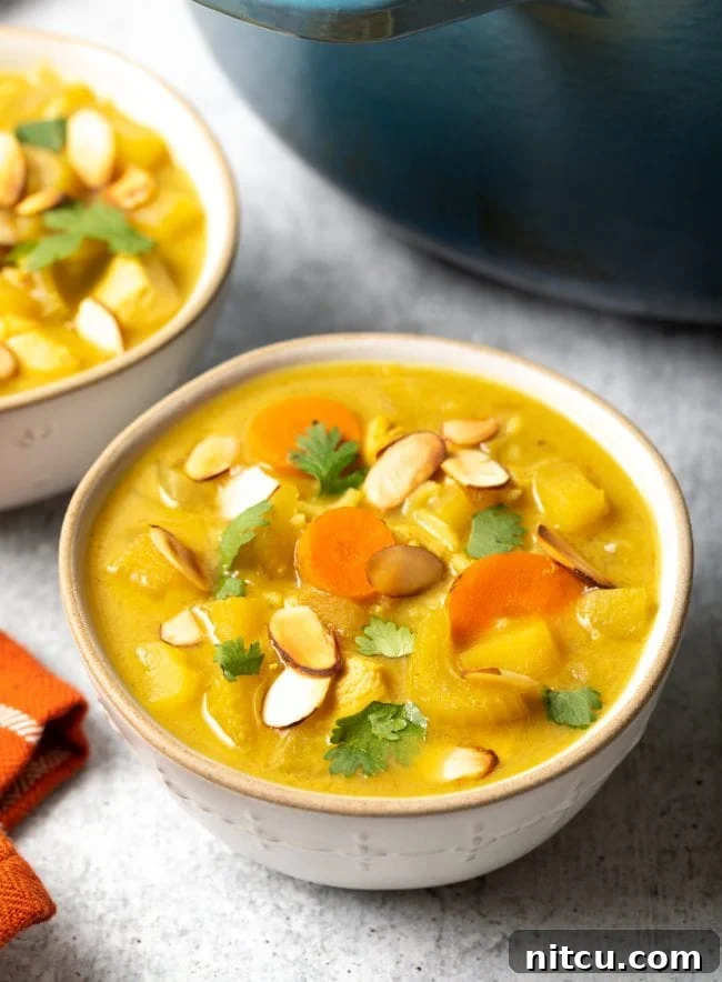 A bowl of vibrant, healthy Mulligatawny soup, garnished and ready to be enjoyed.