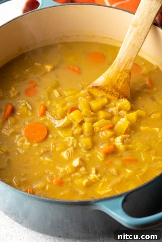 A large pot of soup on the stove, showing the browned ingredients mixed with broth and other liquids, simmering gently.