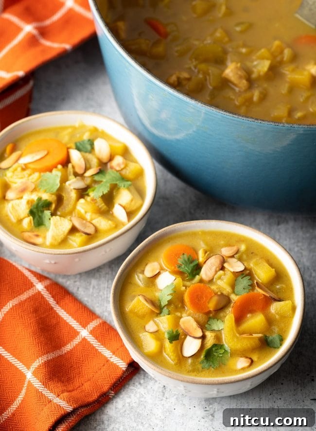 Two steaming bowls of healthy chicken Mulligatawny soup, perfectly garnished.