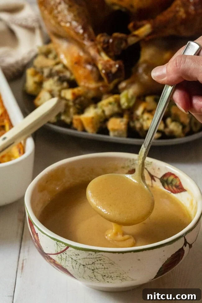 Best Turkey Gravy in gravy boat bowl with ladle. 