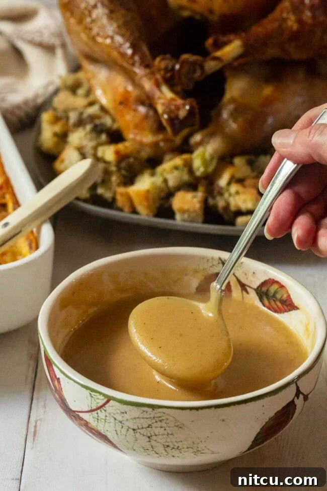 spoonful of homemade gravy