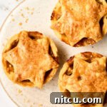 Best mini apple pie with brandy recipe