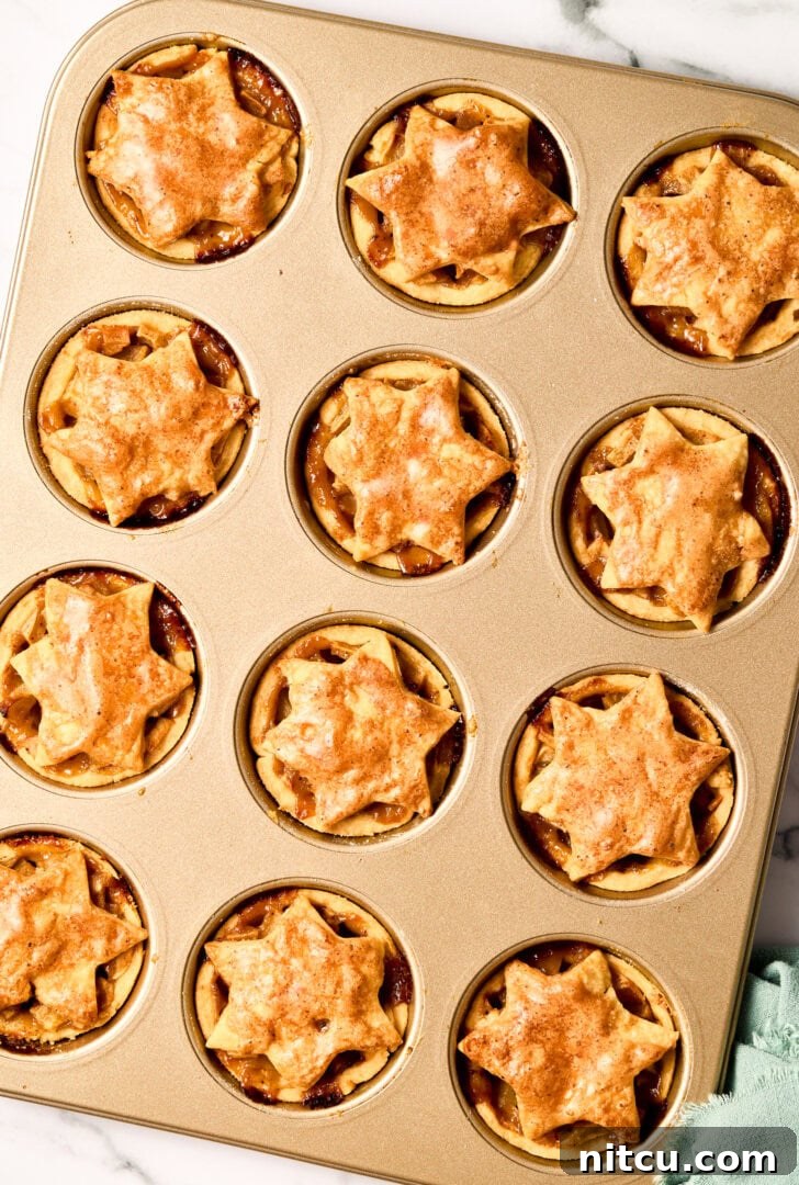 Baked Mini Apple Pies in a muffin pan, golden brown and ready to cool.