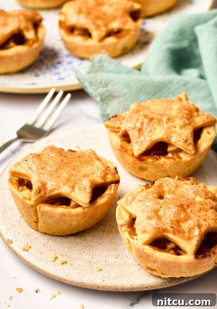Delicious Mini Apple Pies served on a plate, showcasing their perfect hand-held size.