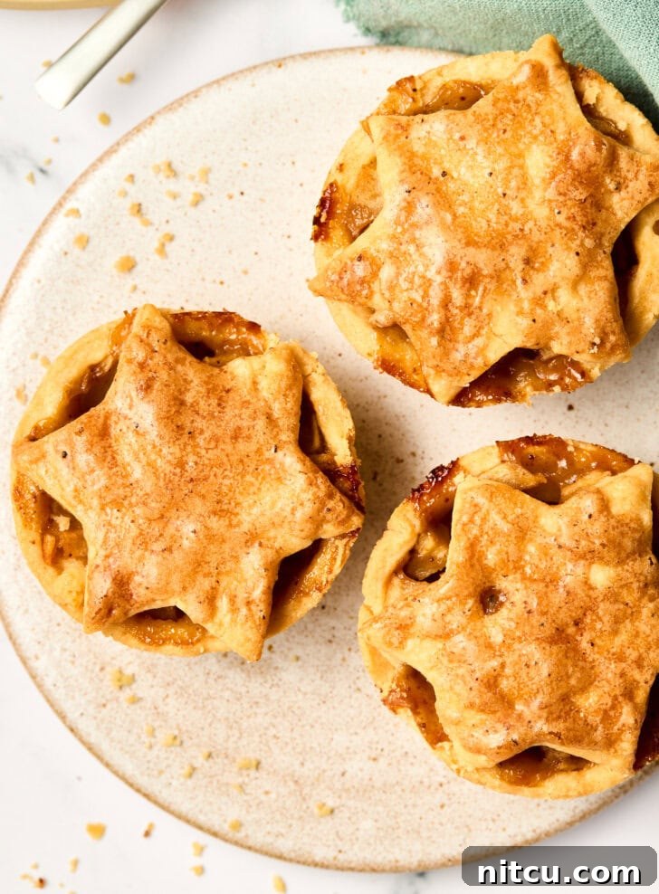 Best mini apple pie with brandy recipe, showcasing a perfectly baked crust.