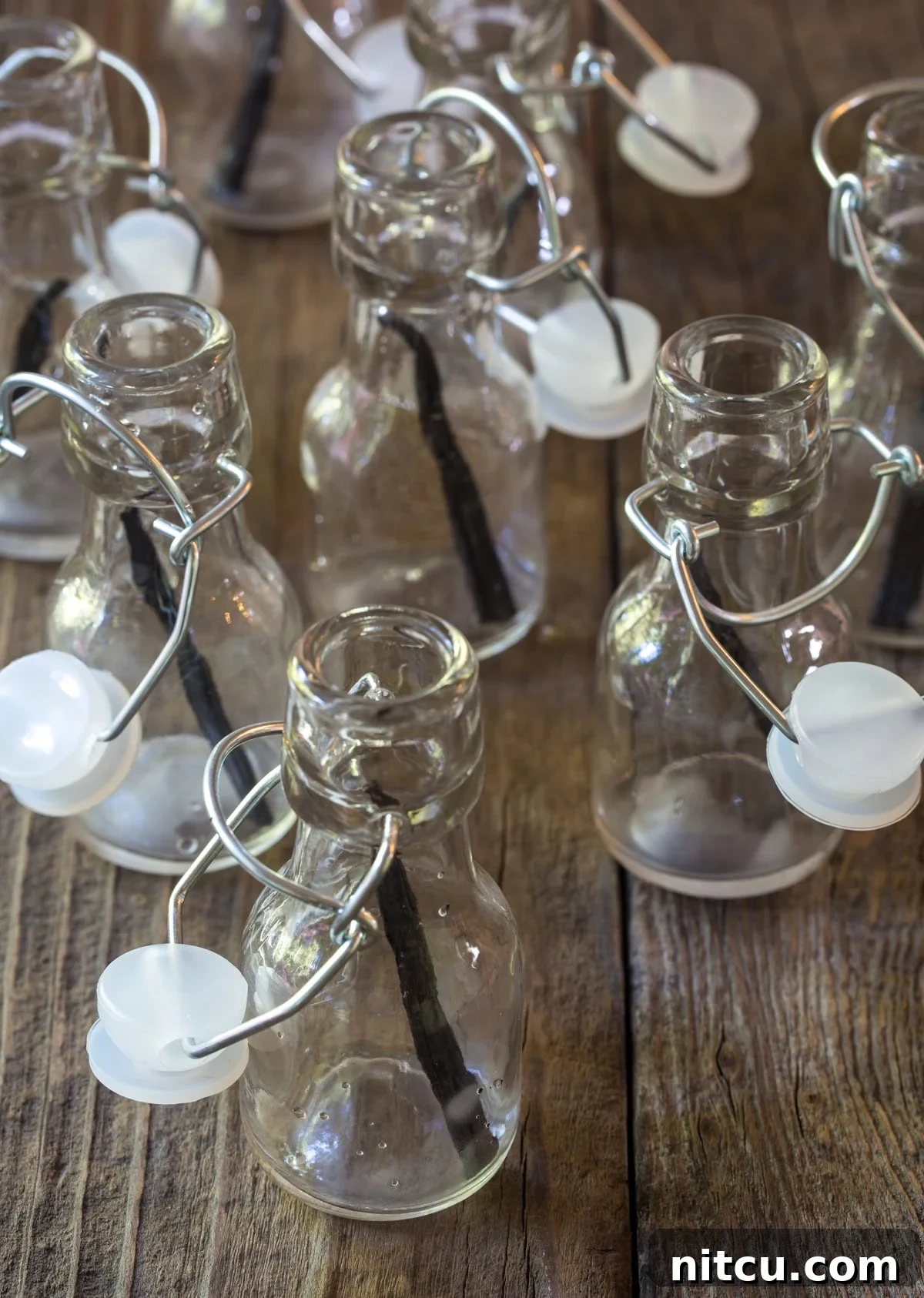 Small jars each with a vanilla bean pod inside of them.