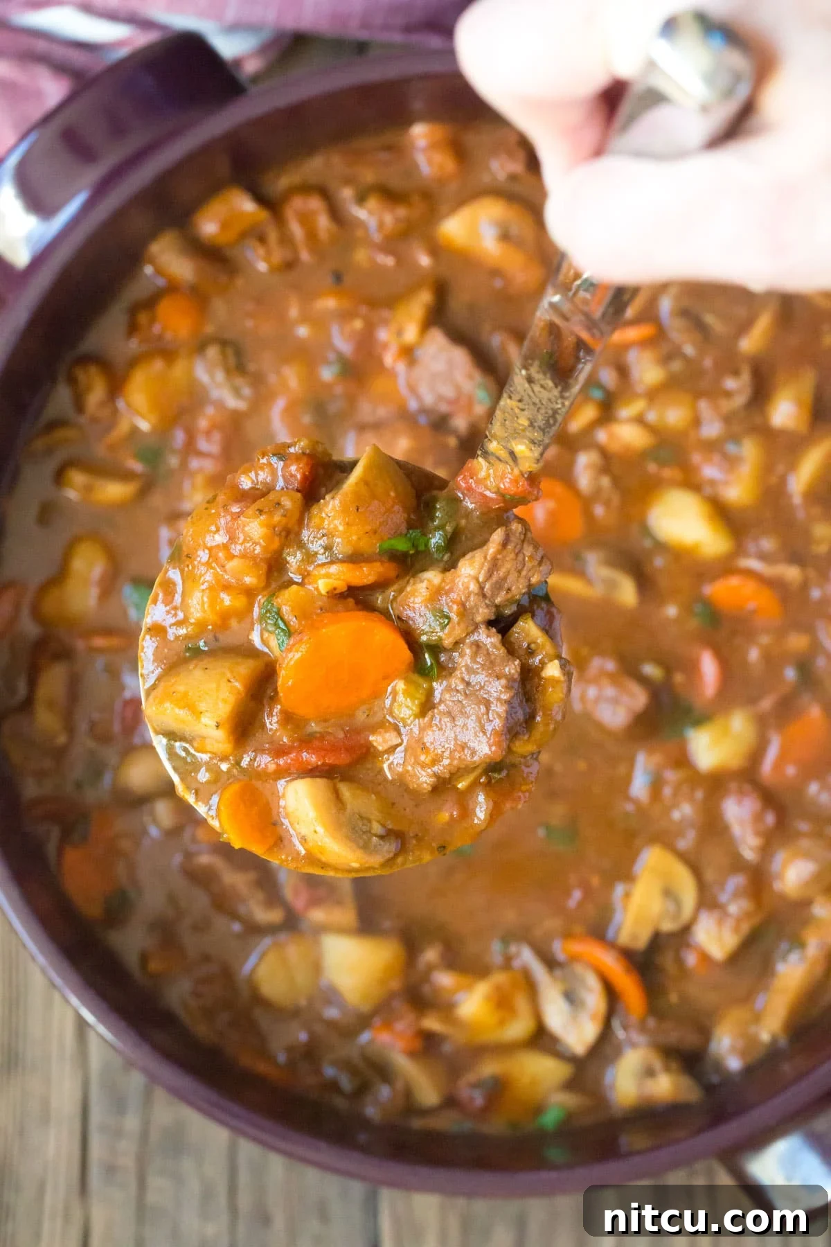 A hand holding a ladle, scooping rich, thick beef stew from a large pot.