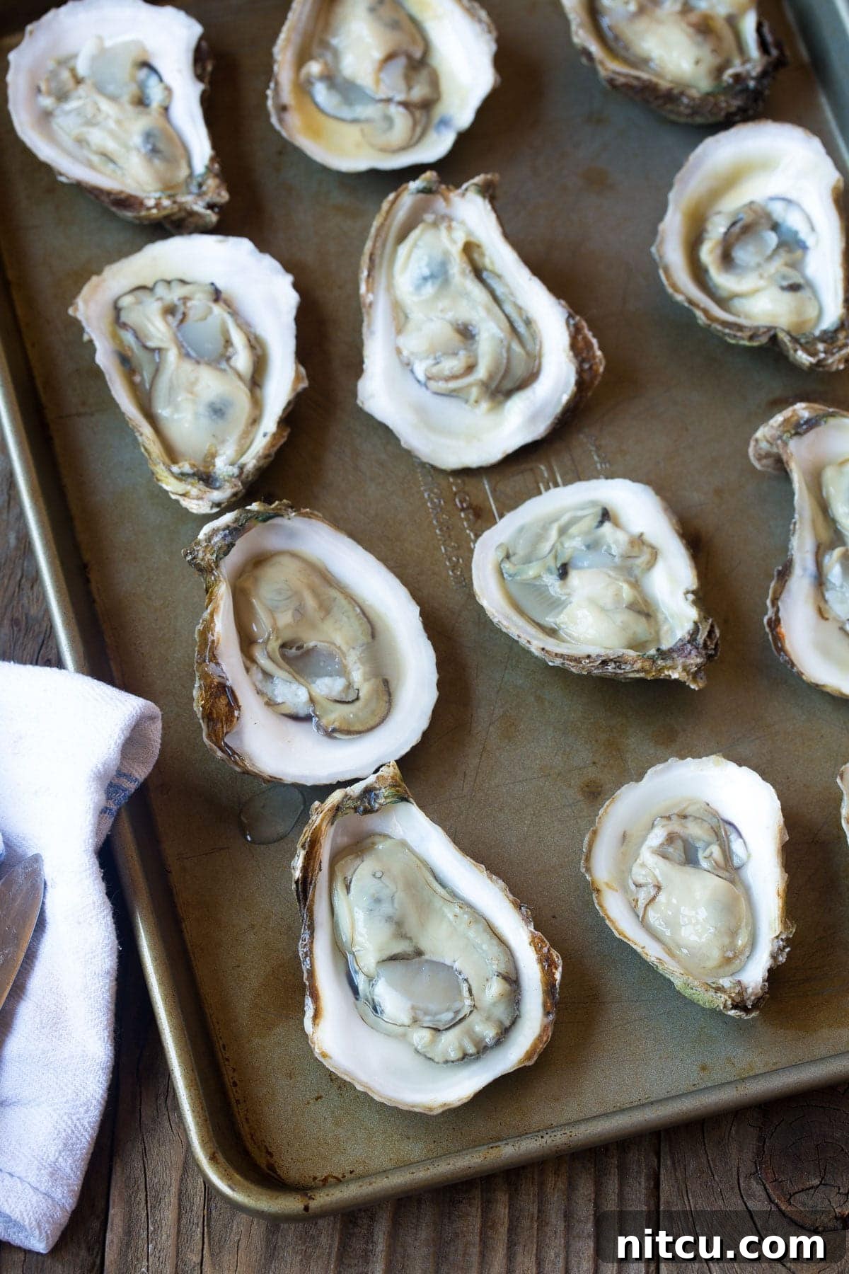Cleaned oysters on the half shell arranged neatly on a baking tray, ready for topping