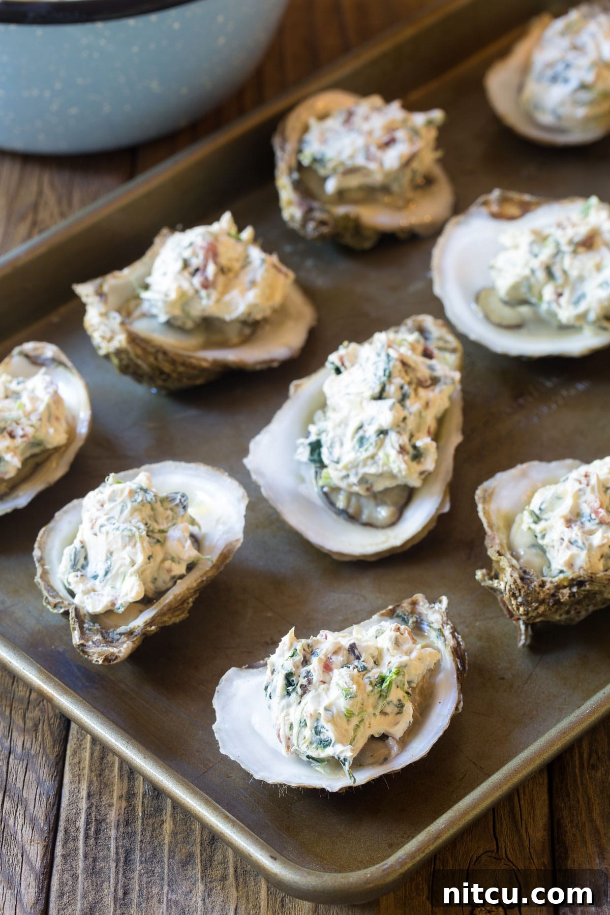A tray of oysters with the three-cheese filling ready for baking in the oven
