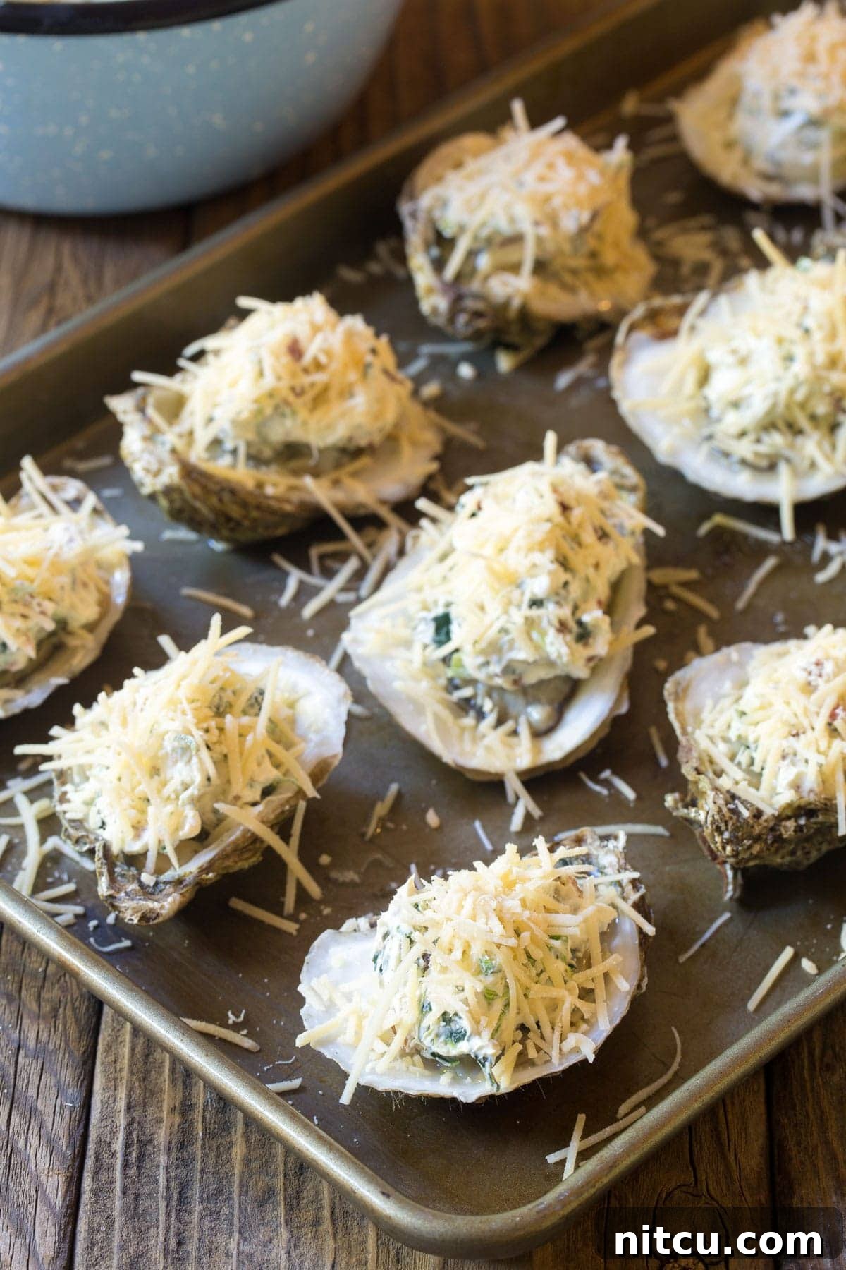 A close-up view of freshly prepared baked oysters with a golden melted cheese topping on a tray