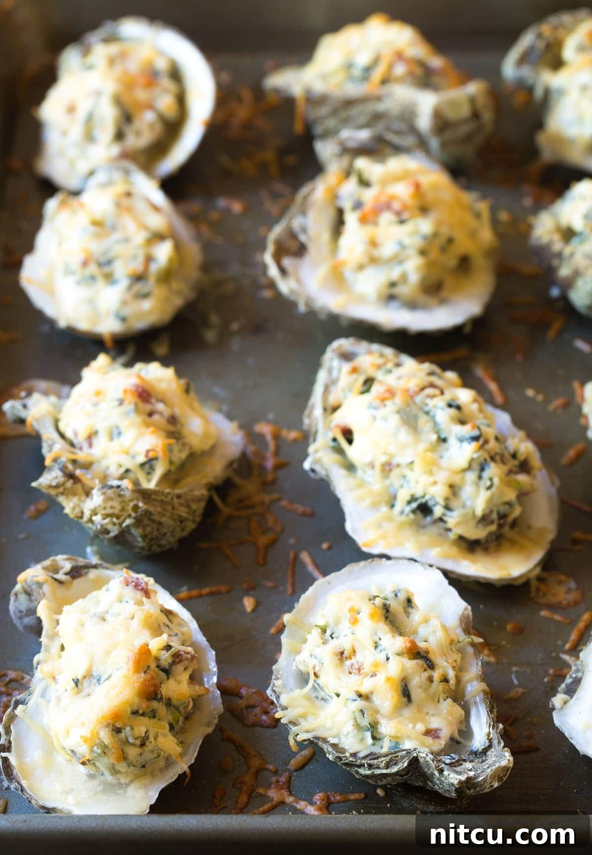 Hot three-cheese cooked oysters in their shells, fresh from the oven, ready to be served